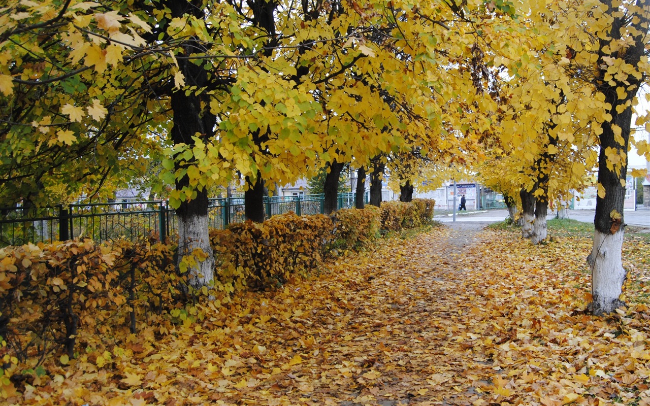 Наскільки добре ви знаєте Городок?