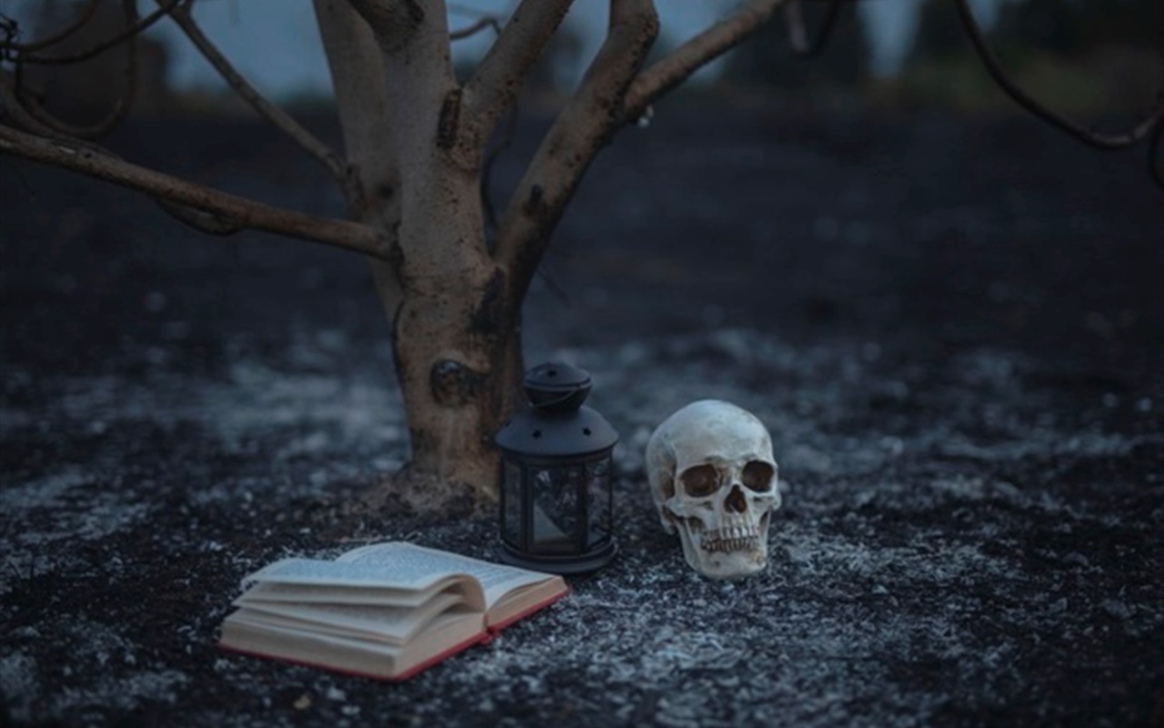 Впізнай книгу за цитатою