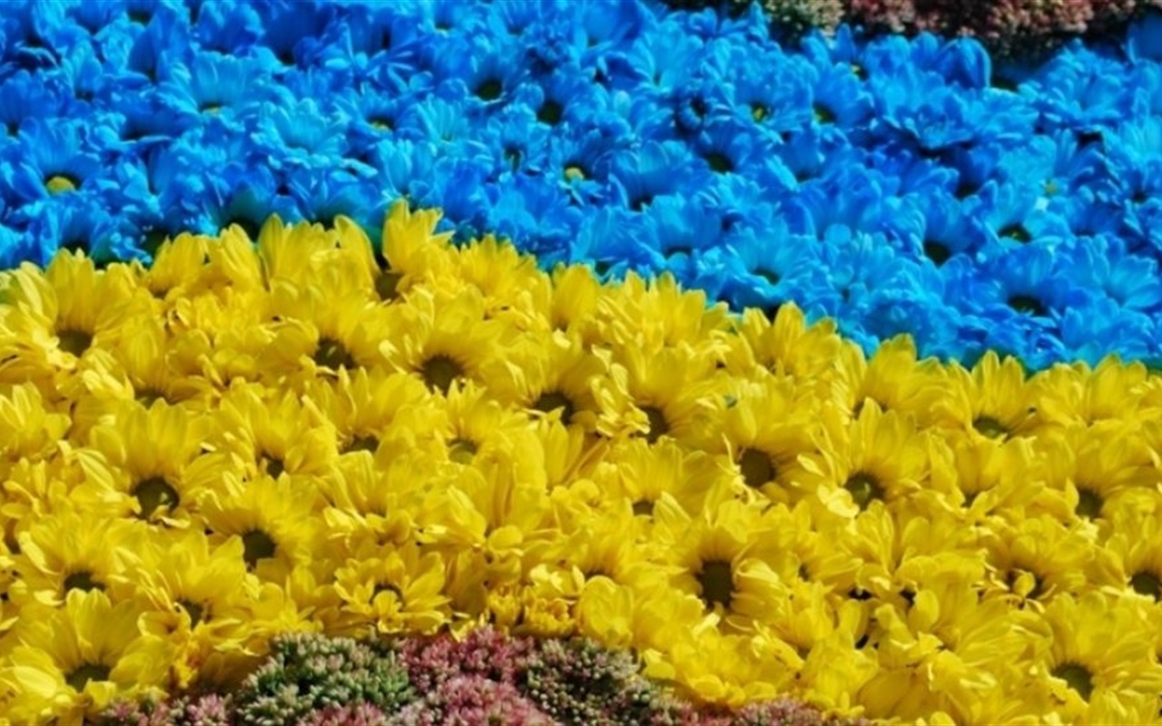 Вкажи правильні слова