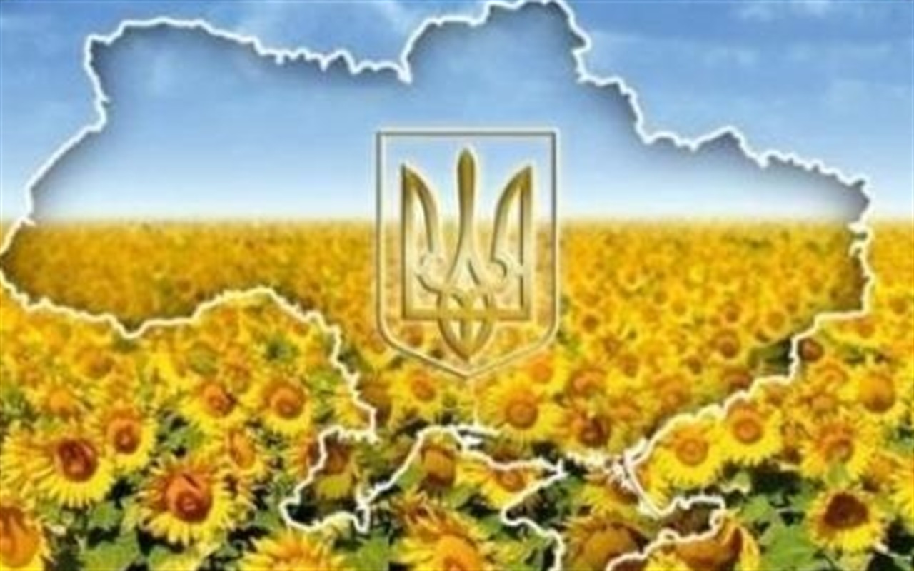 Вкажи правильні слова