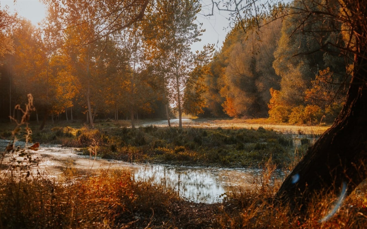Осінь багата не тільки урожаєм і кольорами, а й цікавими приказками