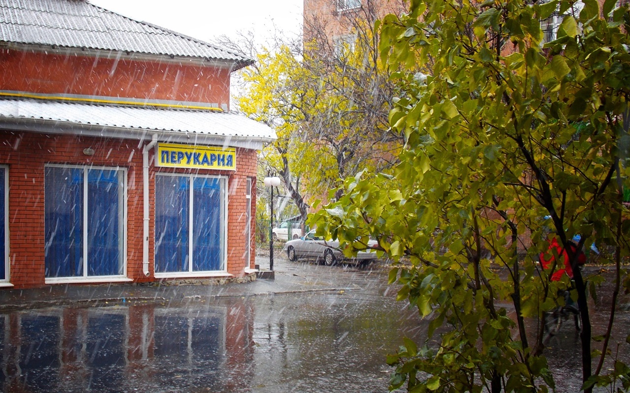 Впізнай назву вулиці у Жмеринці за осіннім фото: 15 фото з різних мікрорайонів