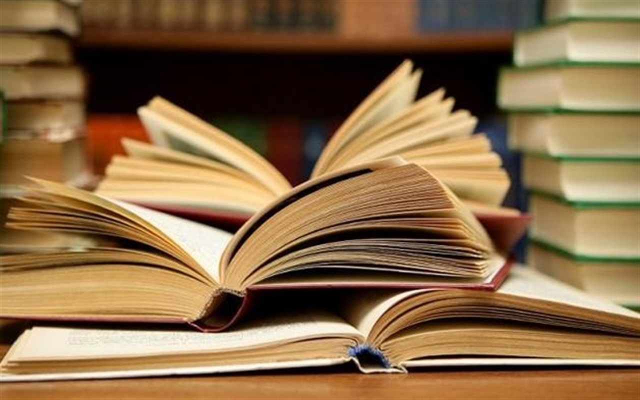 Що сватівчани знають про українську мову?