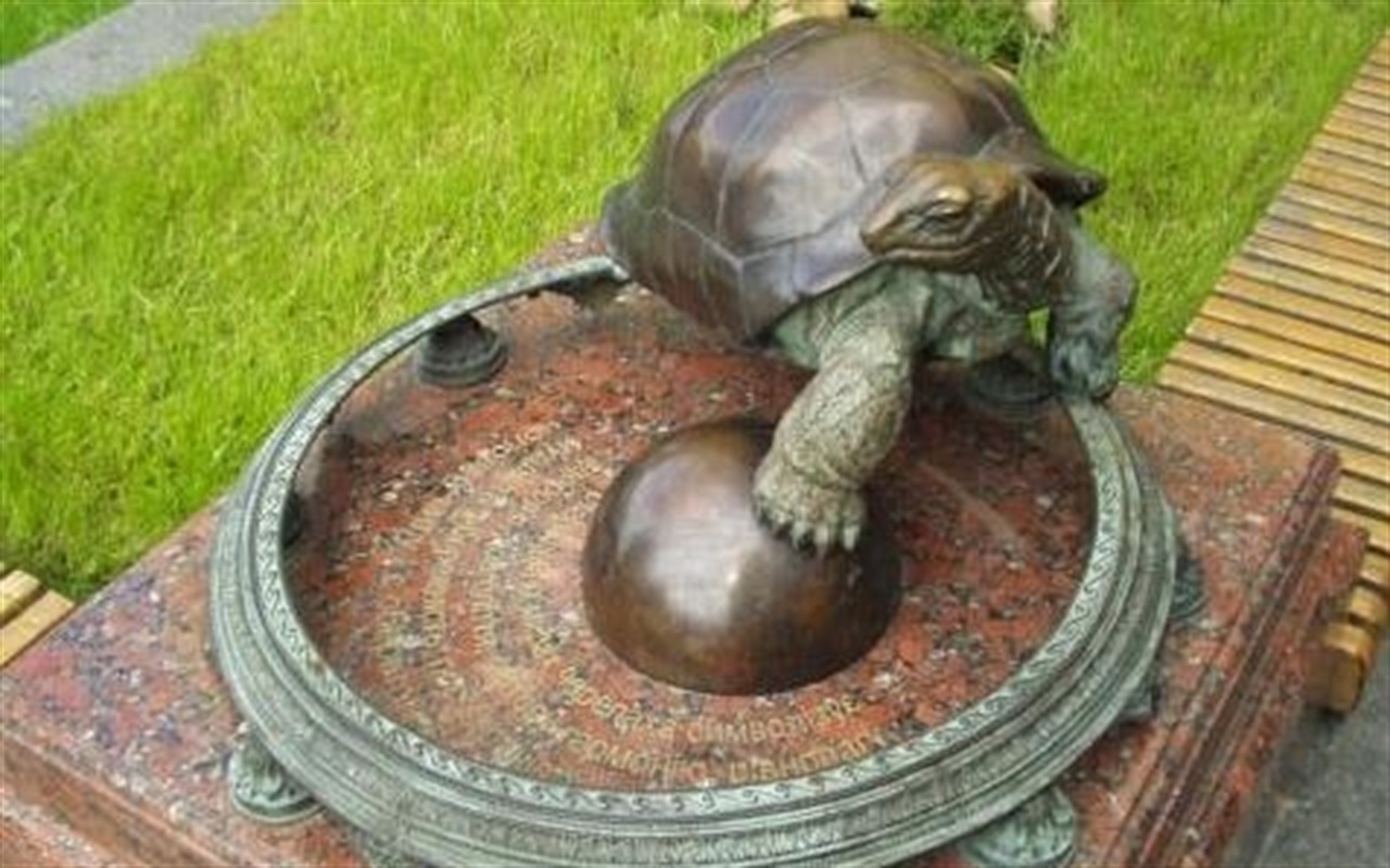 А що там цікавого, у черепах?