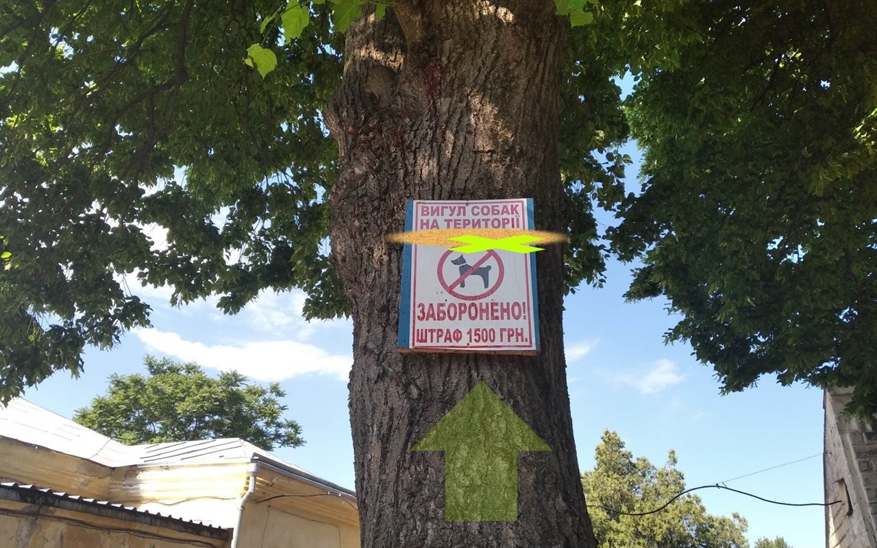 Ти готовий? Тоді вперед!