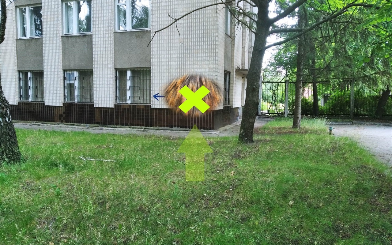 Ти готовий? Тоді вперед!