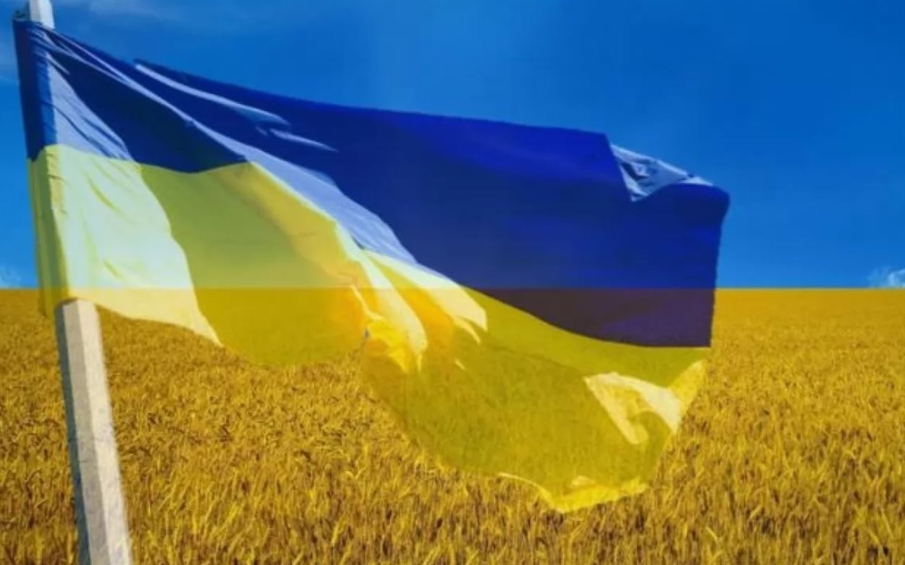 Калина чи малина? Тест, чи знаєш ти рослини-символи України