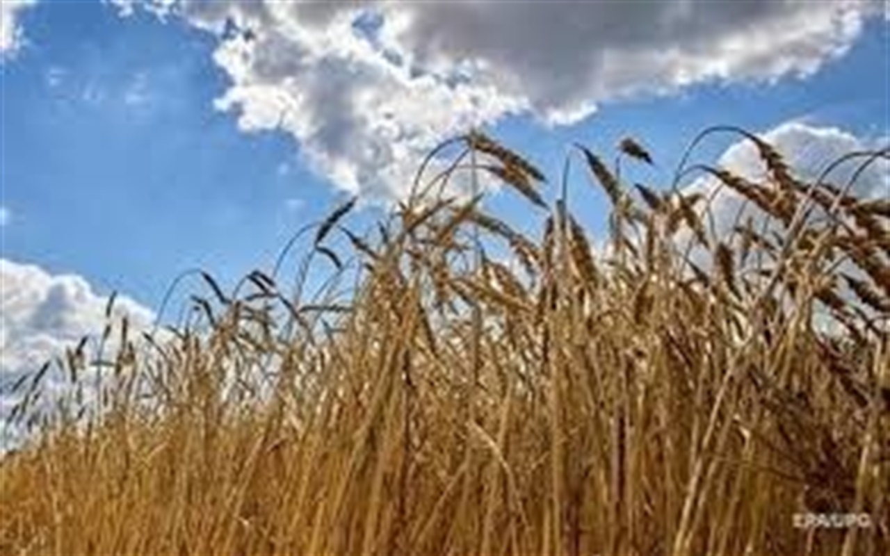 Наскільки ви знаєте правила української мови та правопису?