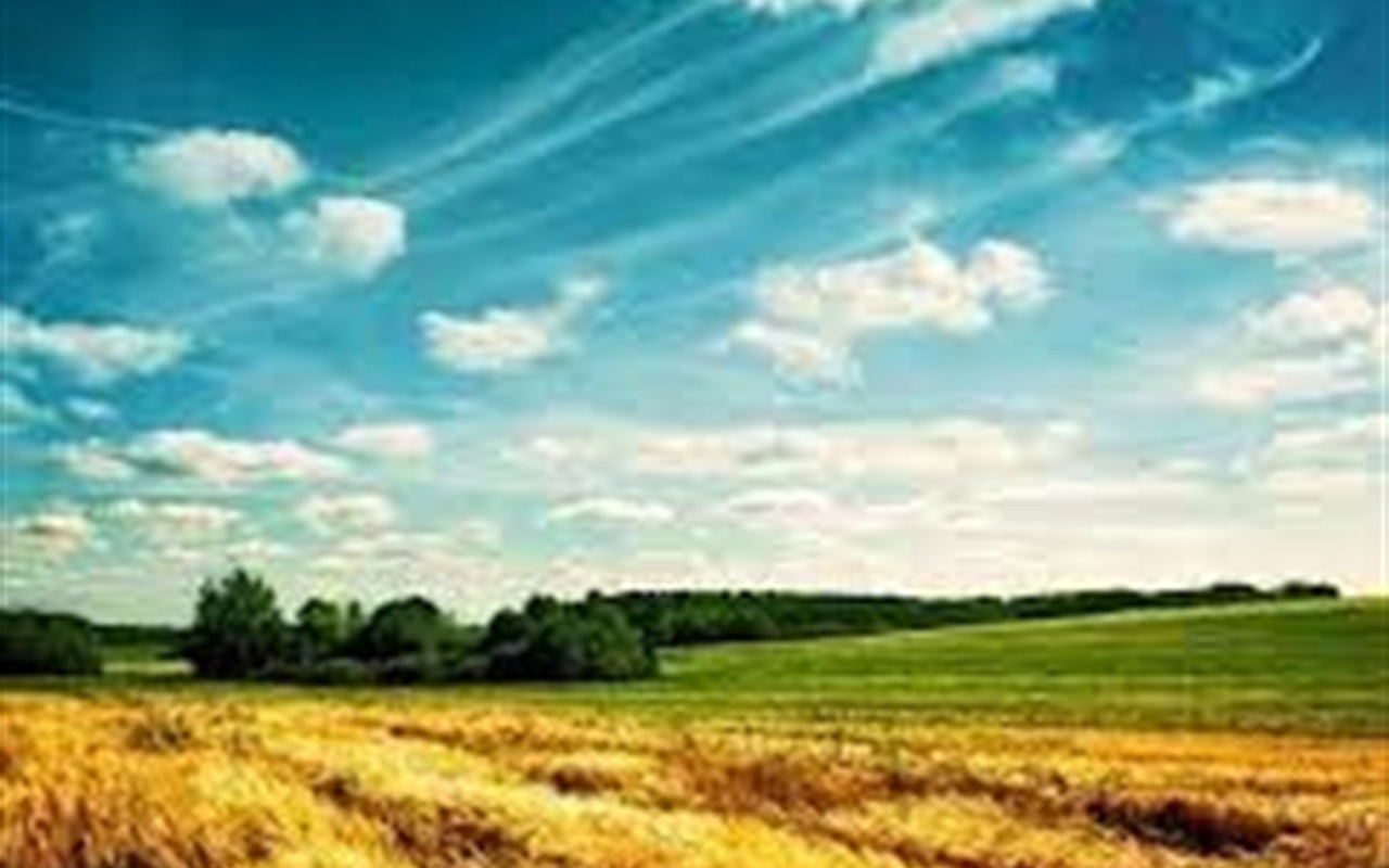 Наскільки ви знаєте правила української мови та правопису?