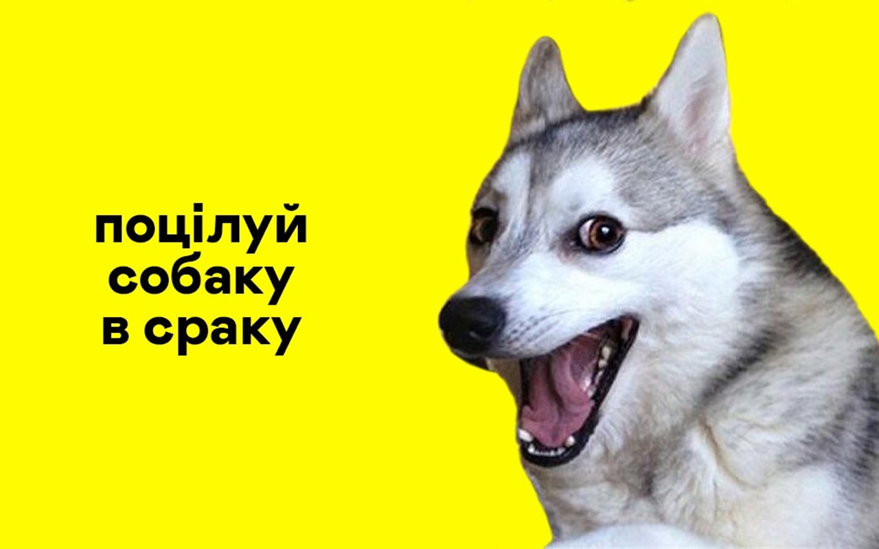 Чи вправно ви лаєтеся українською?