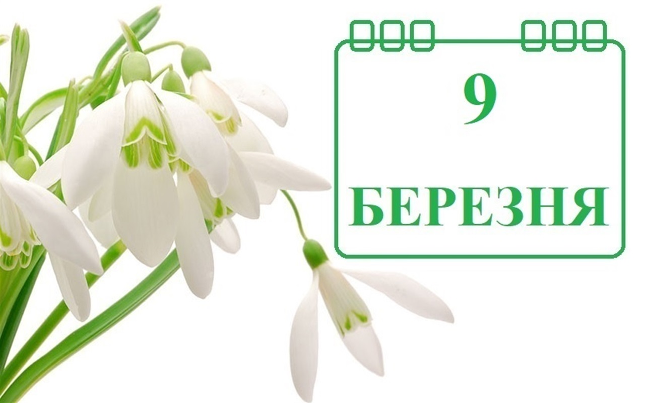 Як добре ви знаєте нові назви вулиць?