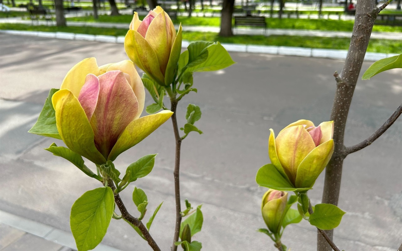 Уже хочу швидше пройти тест!