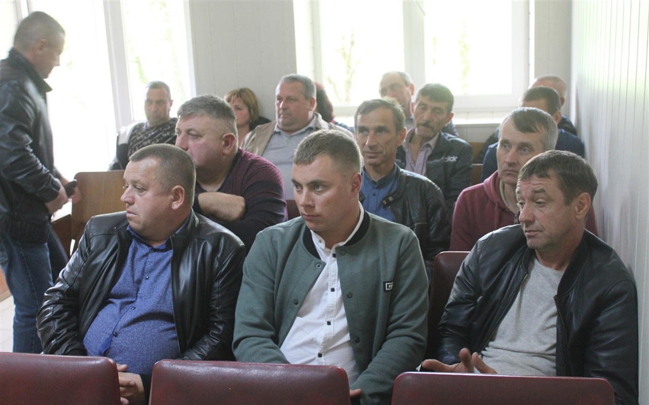 Що відомо про лісництво Городоччини