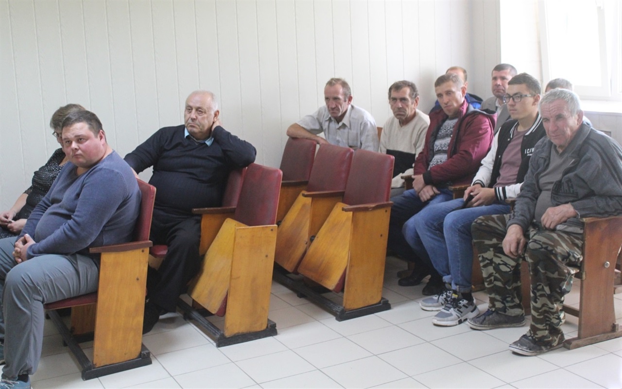 Що відомо про лісництво Городоччини