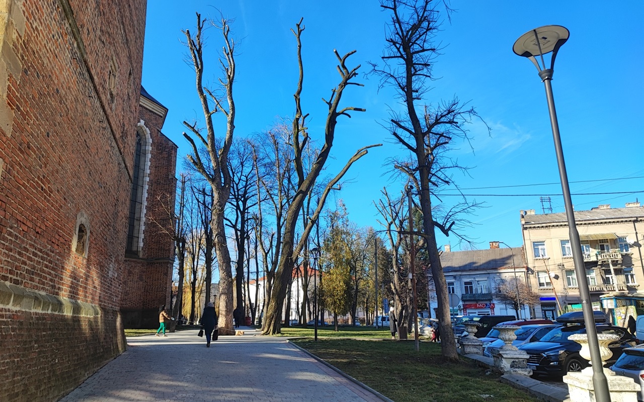Тест: чи знаєте ви дрогобицькі легенди