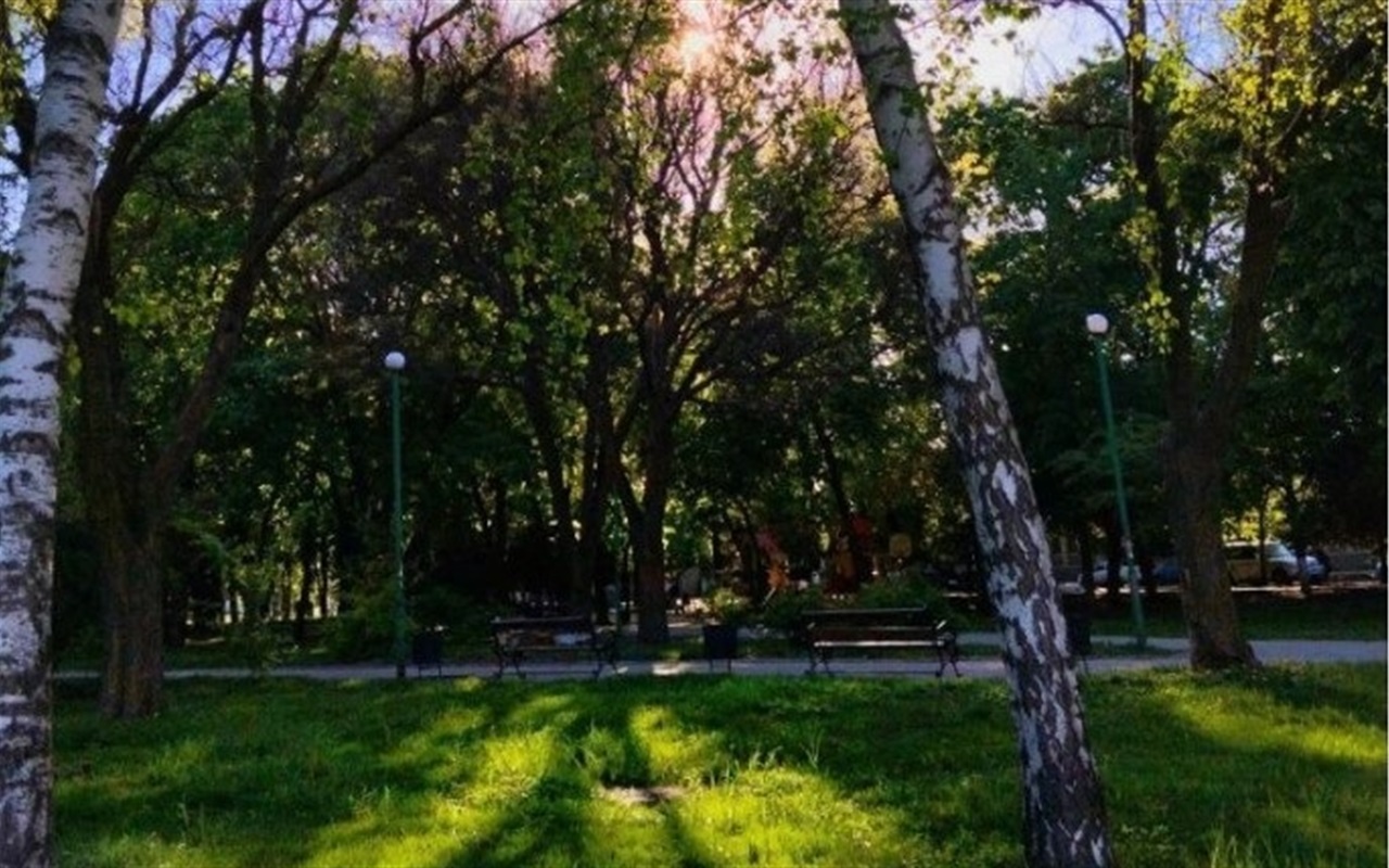 Який факт про Красноград вигаданий?