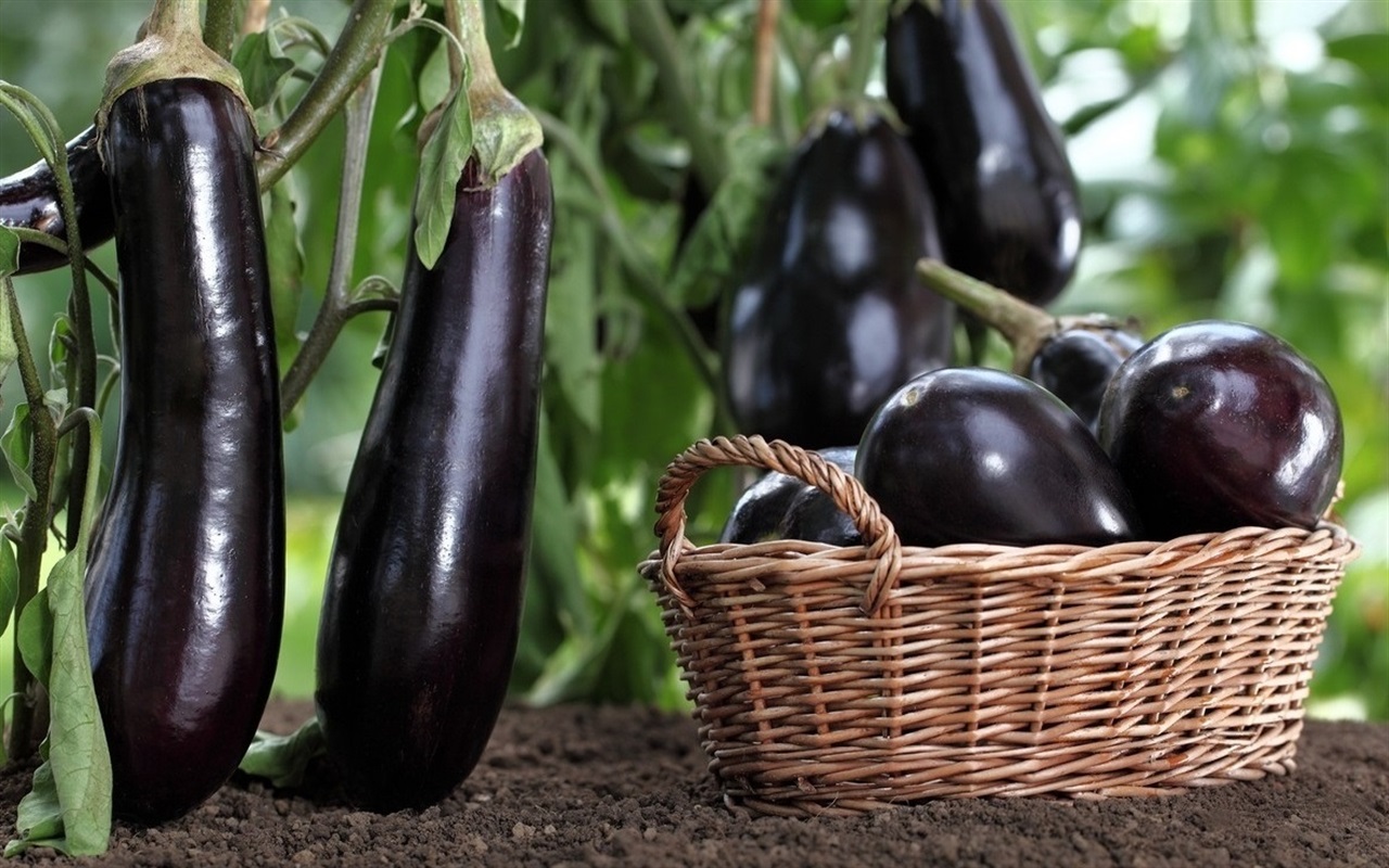 Що ти знаєш про продукти?