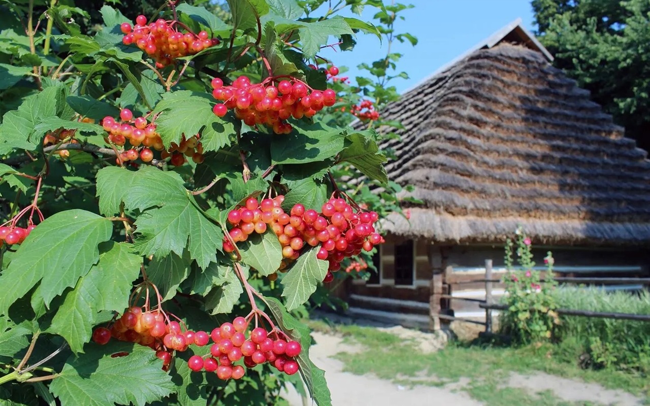 Перевірте себе