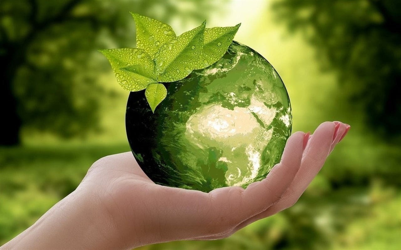 Герой сортування чи майстер хаосу