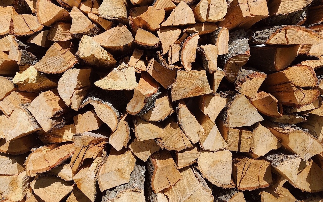 10 слів-пасток