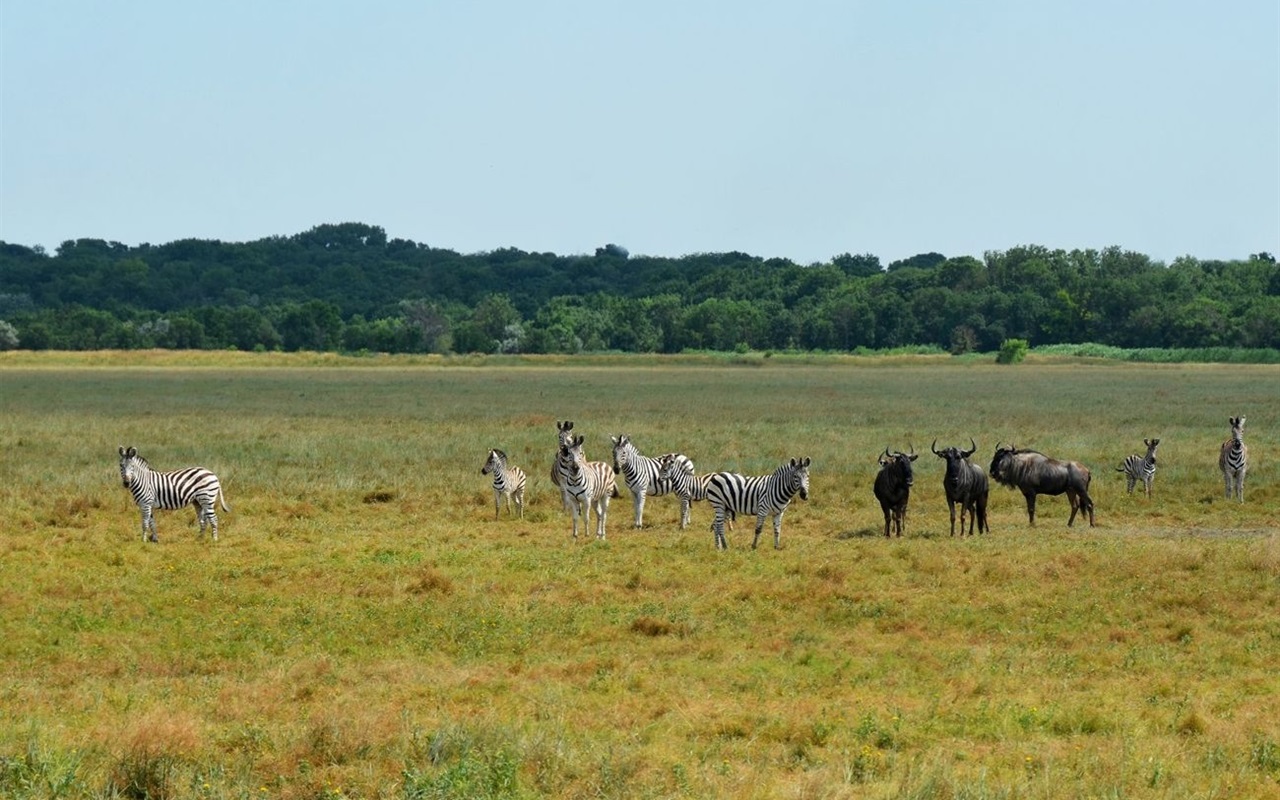 10 питань про регіони нашої країни