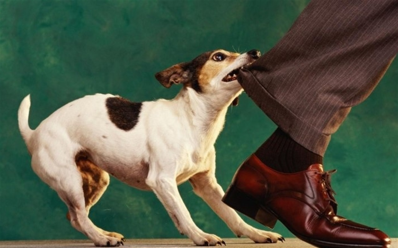 Тест: чи знаєте ви свої права у повсякденних ситуаціях?