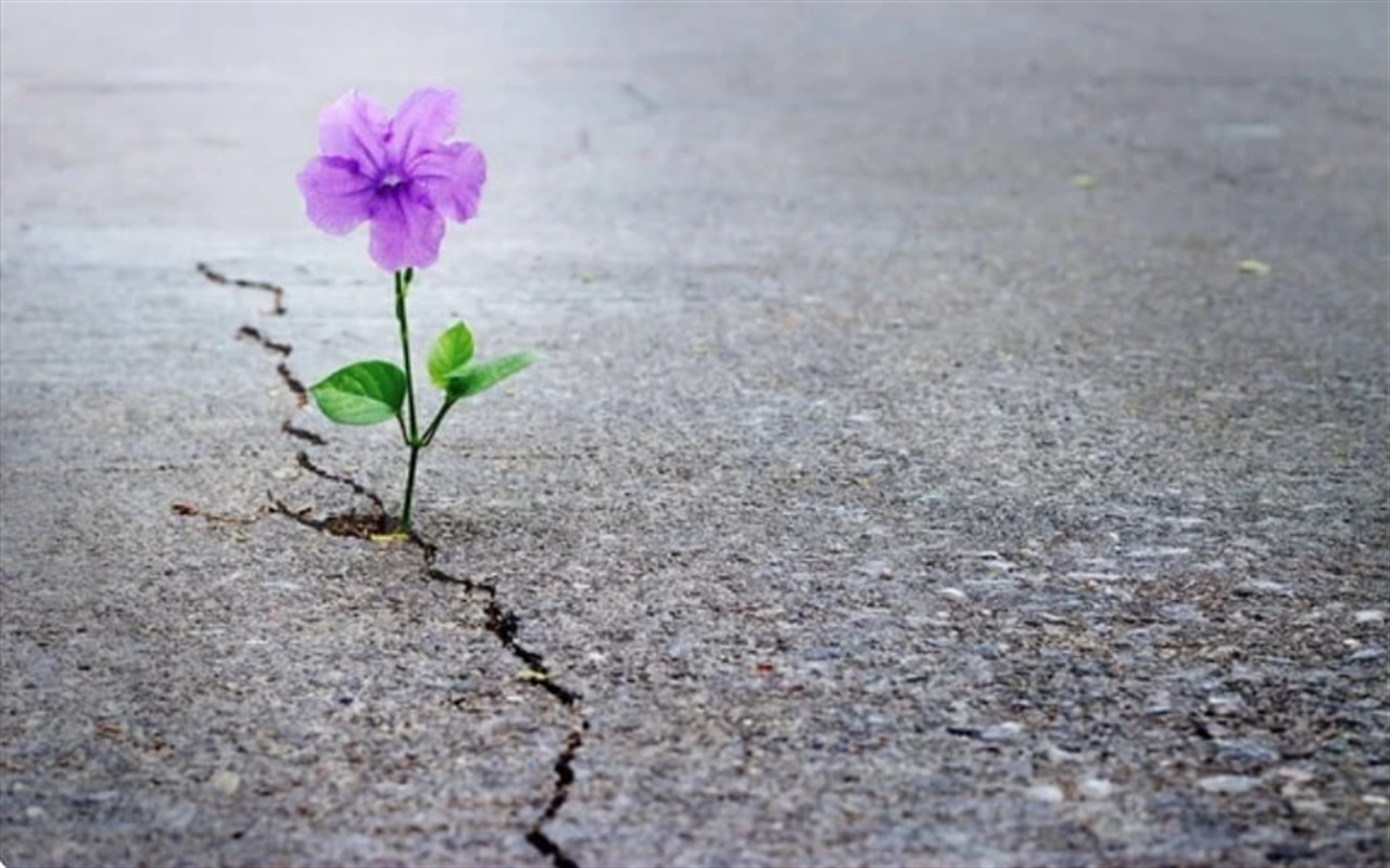 Тест: "Українська література в цитатах: хто автор?"