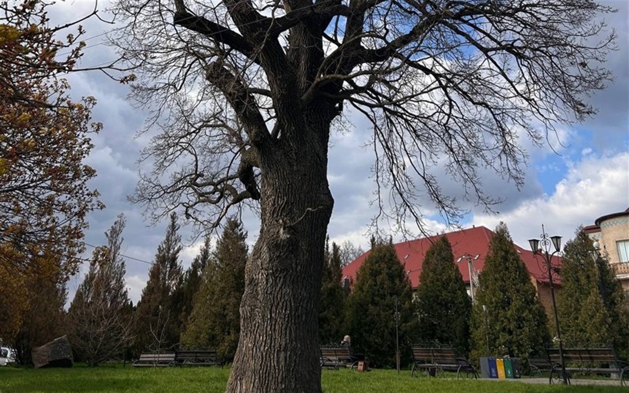 Перевірте себе