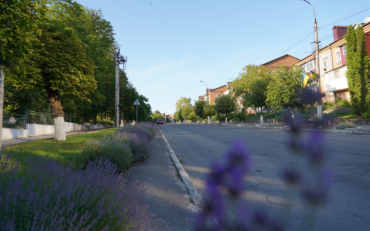 Перевірте себе