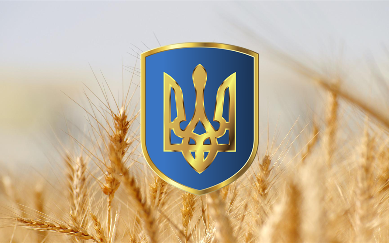 Тест-гра на знання Конституції