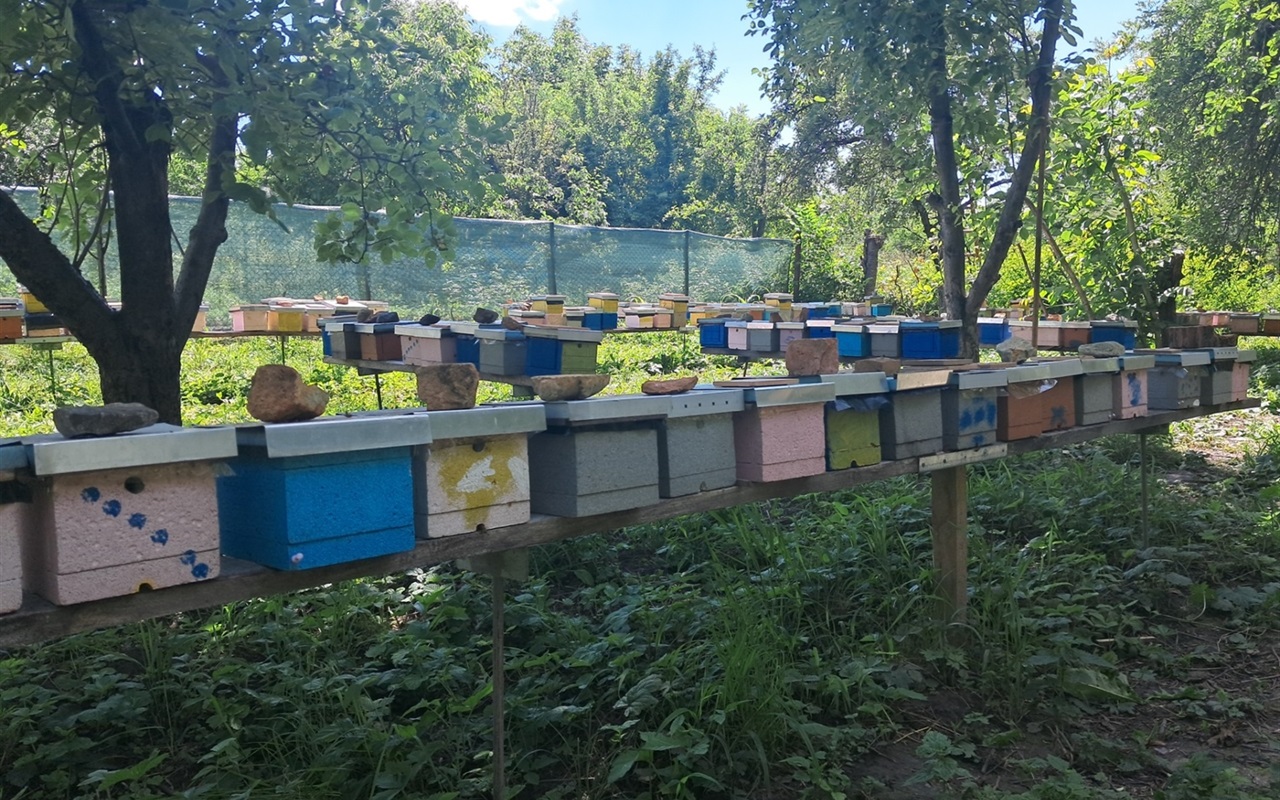 12 запитань про події