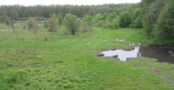 Де в районі можна зробити унікальне фото чи відпочити на природі?